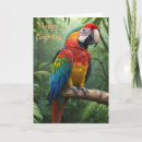 Suche nach macaw karten Tierwelt