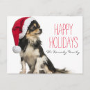 Suche nach tierthemen postkarten Klein