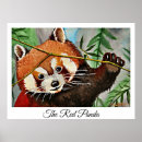Suche nach roter panda poster Bamboo