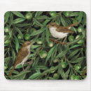 Recherche de ollivier tapis souris Oiseau