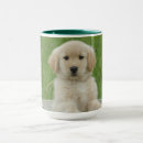 Suche nach waschbecken tassen Tier