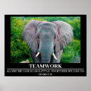 Recherche de motivation photographie Photographie de la faune