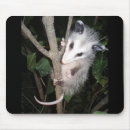Suche nach opossums mousepads Maus