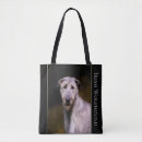 Suche nach wenn irisch accessoires Hund