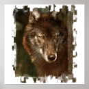 Suche nach lone wolf poster Weiß