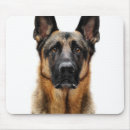 Suche nach naht mousepads Haustier