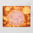 Suche nach epidemiologie poster Dreidimensional