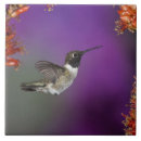 Suche nach mcdonalds fliesen Beitreten