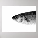 Suche nach schöne fische poster Ozean
