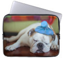 Suche nach bulldogge laptop schutzhüllen Tiere