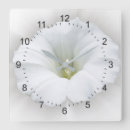Recherche de pois gris horloges Blanc