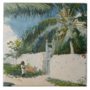 Suche nach bahamas fliesen Palme