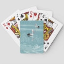 Recherche de pélicans jeux de cartes Animal