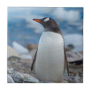 Suche nach eisen fliesen Vogel