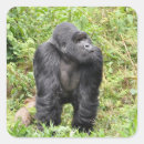 Suche nach ruanda aufkleber Gorillas