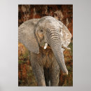 Suche nach enorm kunst Elefanten