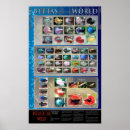 Recherche de betta posters Combat