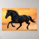 Suche nach laufendes pferd poster Hengst