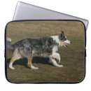 Suche nach läufer laptop schutzhüllen Foto