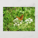 Suche nach schwarze bilder postkarten Für sie