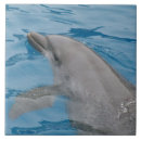 Suche nach dolphin fliesen Delfin