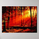 Recherche de rayons de lumière posters Arbres