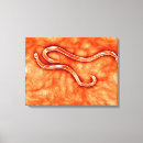 Suche nach pathologie poster Mikroskopisch