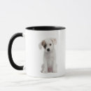 Recherche de intégrale tasses Mignon