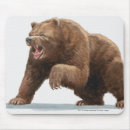 Suche nach braunbär mousepads Wild lebende tiere