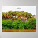 Suche nach somalia poster Afrika