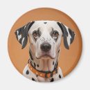 Recherche de dalmates magnets Drôle
