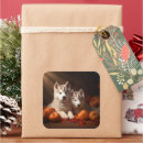 Recherche de husky puppy autocollants Animal