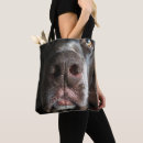 Suche nach schokolade labrador taschen Schokoladenlabrador