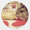 Recherche de mangeant autocollants Animaux domestiques