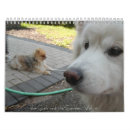 Suche nach mädchen kalender Blume