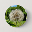 Recherche de barbes badges Pour tous