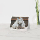 Recherche de angora vœux cartes Lapin