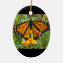 Recherche de papillon de monarque ornements Noël