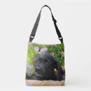 Suche nach schwarzer labrador welpe taschen Niedlich