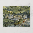 Recherche de players cartes postales Enfants