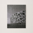 Suche nach peking puzzle China