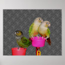 Suche nach conure poster Konservieren