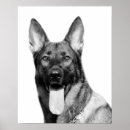 Recherche de badine le posters Animal