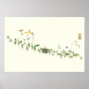 Recherche de les insectes posters Sauterelles