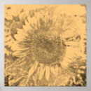 Suche nach vintage grafiken poster Natur