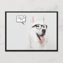 Suche nach cooler hund postkarten Hunde