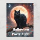 Suche nach halloween flyer Katze
