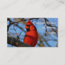 Recherche de cardinal cartes visite Nature