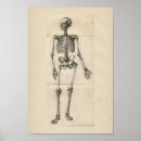 Suche nach vintage skeleton poster Bones