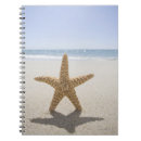 Suche nach massachusetts Sommer